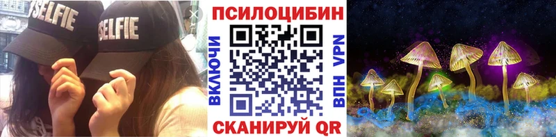 гидра сайт  Казань  Галлюциногенные грибы Psilocybine cubensis 